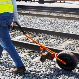 transportador de muelas